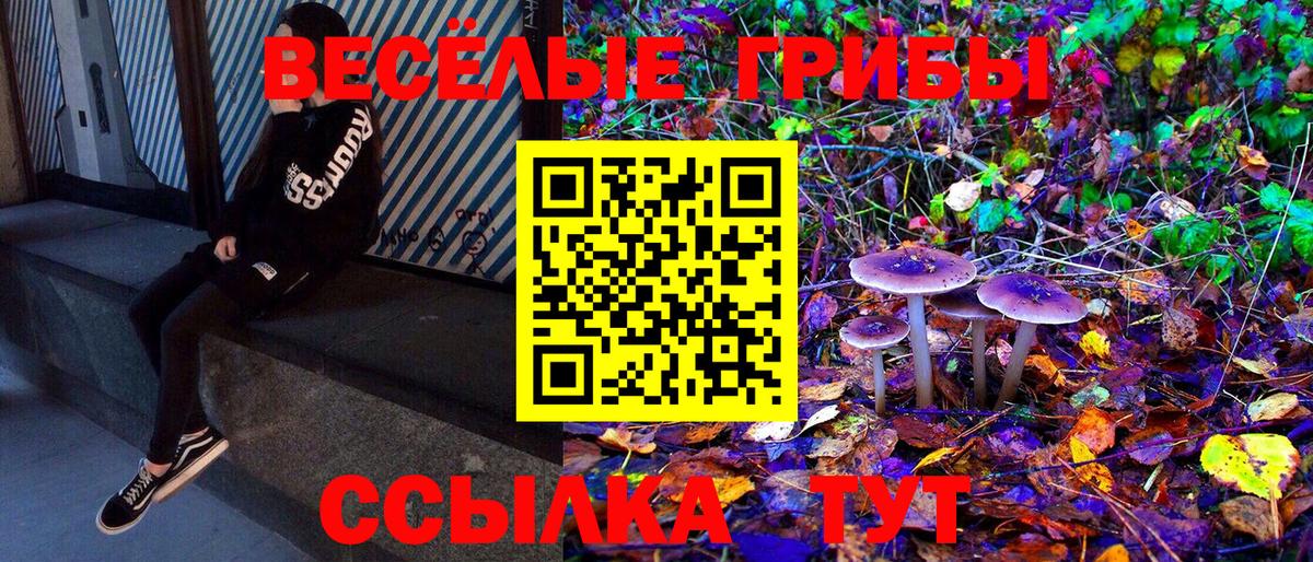 Галлюциногенные грибы ЛСД Амурск