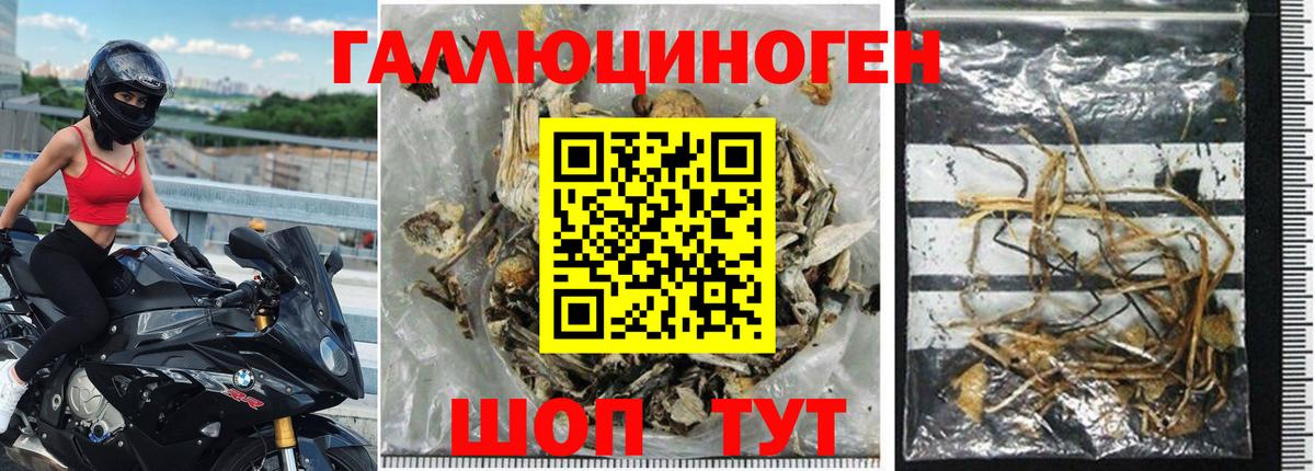 Галлюциногенные грибы мицелий  Вход с VPN  Амурск  Галлюциногенные грибы MAGIC MUSHROOMS 